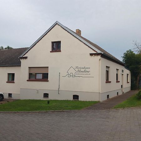 Ferienhaus Undine Mit E-Auto-Ladestation Oranienbaum-Woerlitz Exterior photo